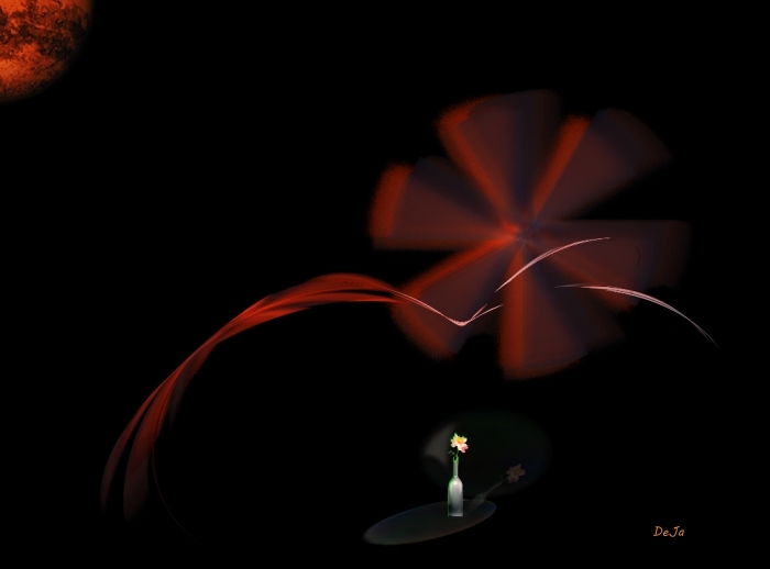květina ve tmě